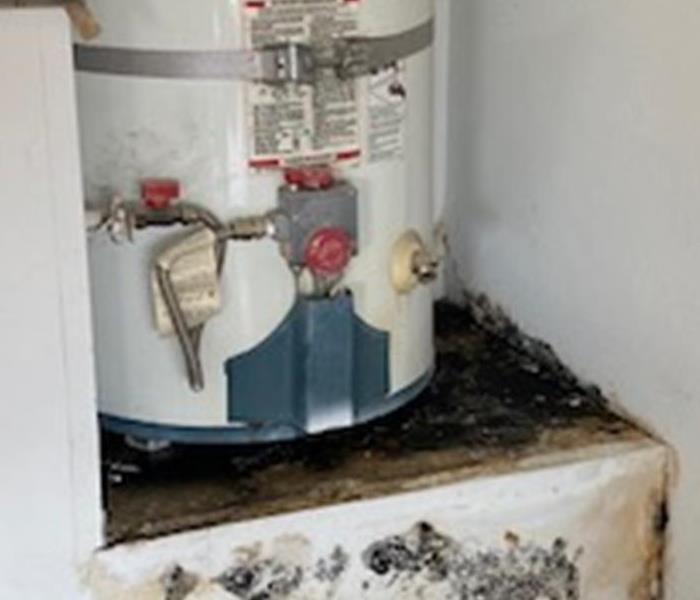 Mold around water heater that leaked